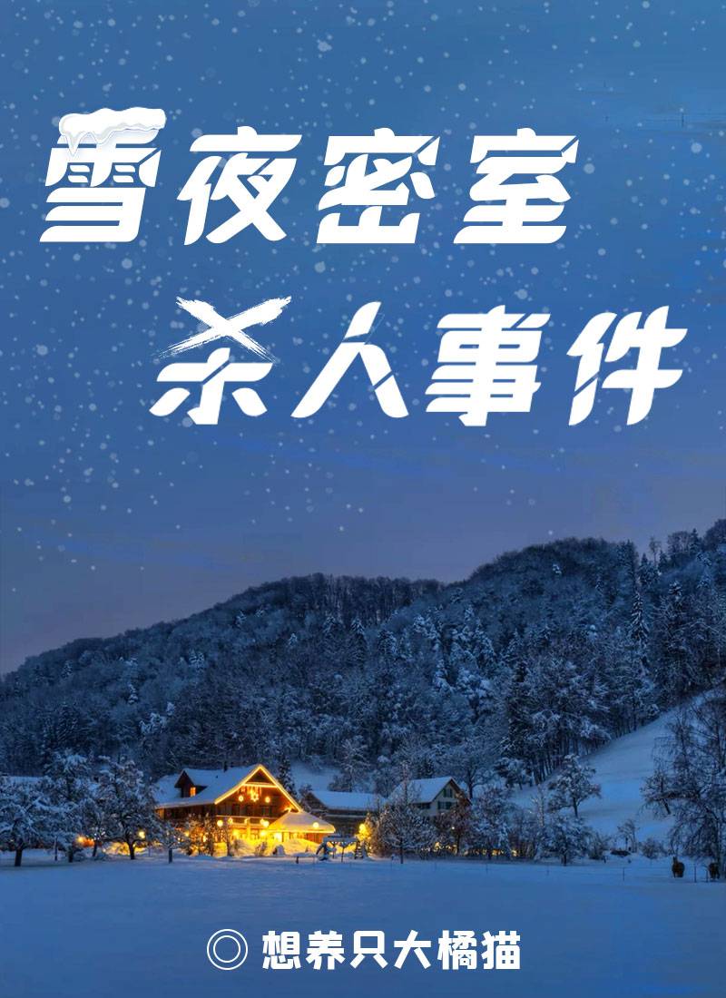 雪夜密室杀人事件剧本杀【攻略 评测 密码 结局 复盘】_GoDan剧本杀